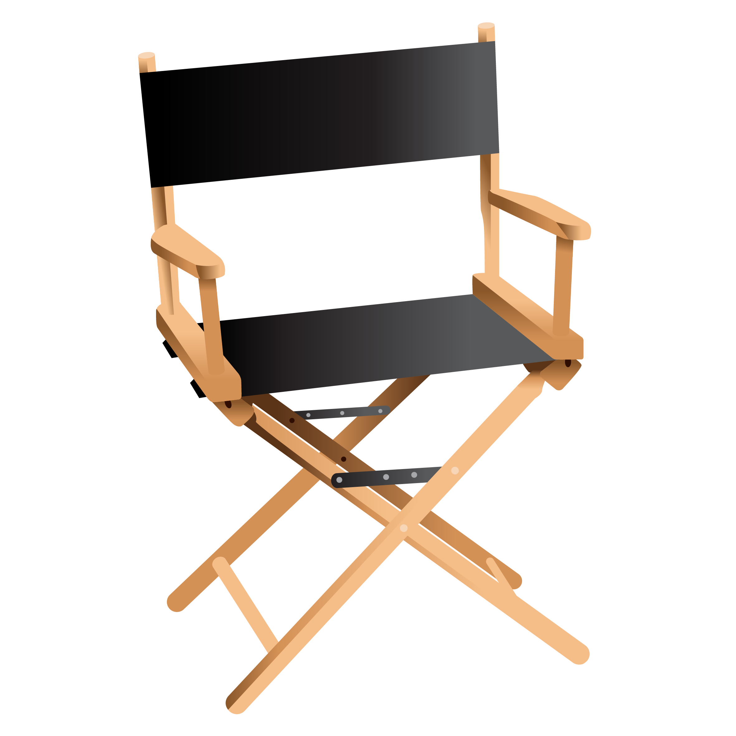 Director chair