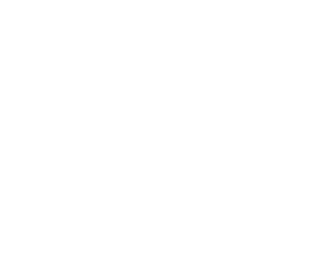 University of Akron White Logo