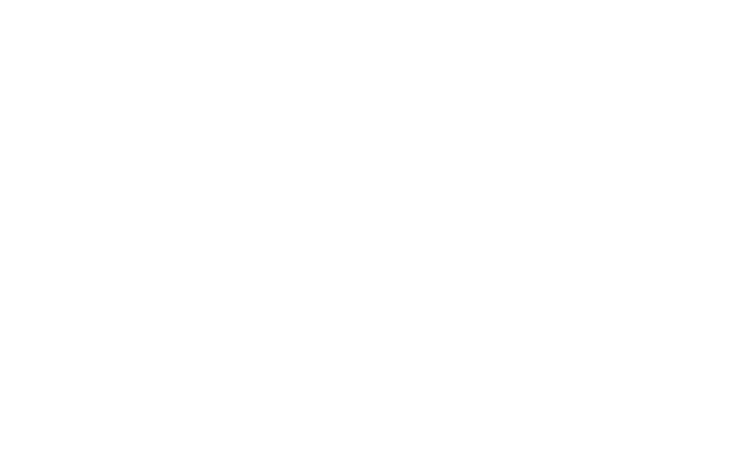 Cirque Du Soleil White Logo