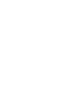 LA Kings White Logo