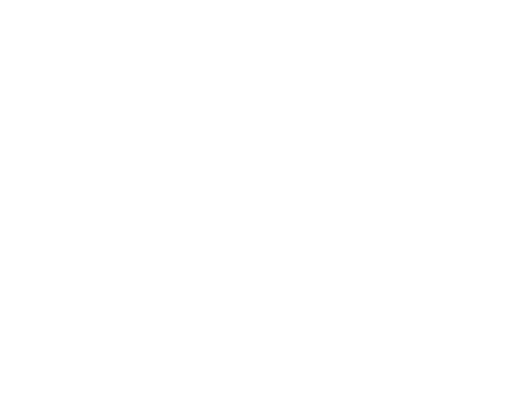 LUVSeats White Logo