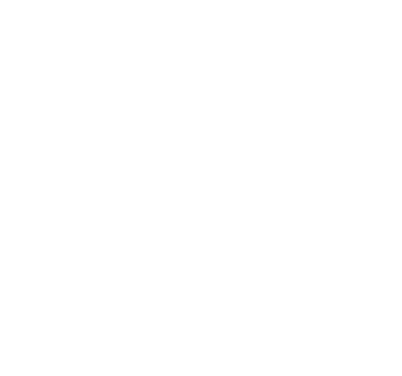 NCAA White Logo