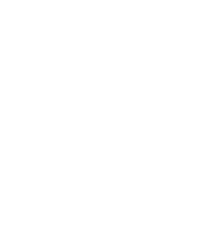 NHL White Logo