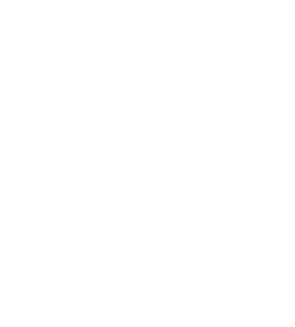 New York Knicks White Logo