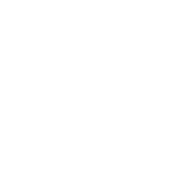 New York Rangers White Logo