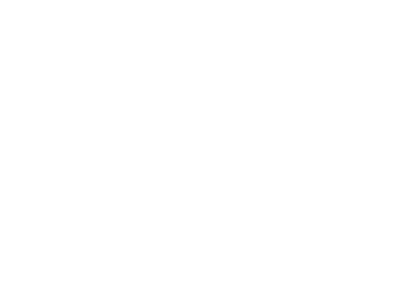 USA Hockey White Logo