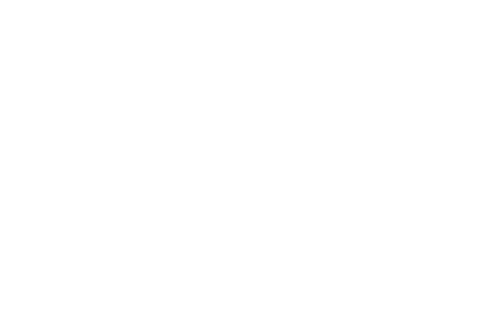 VWSE White Logo