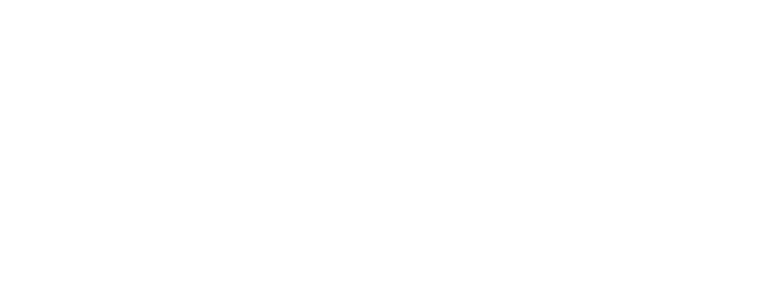 Volleyball Nations League White Logo