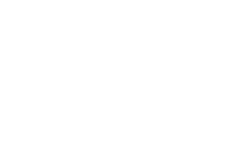 WNBA White Logo
