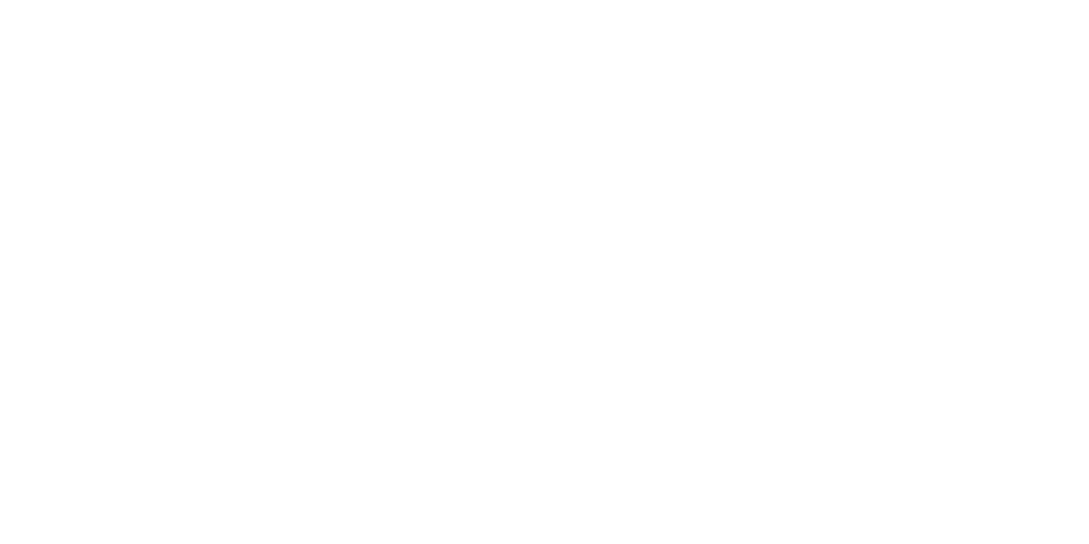 White Seattle Seahawks Logo