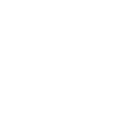 Las Vegas Aces