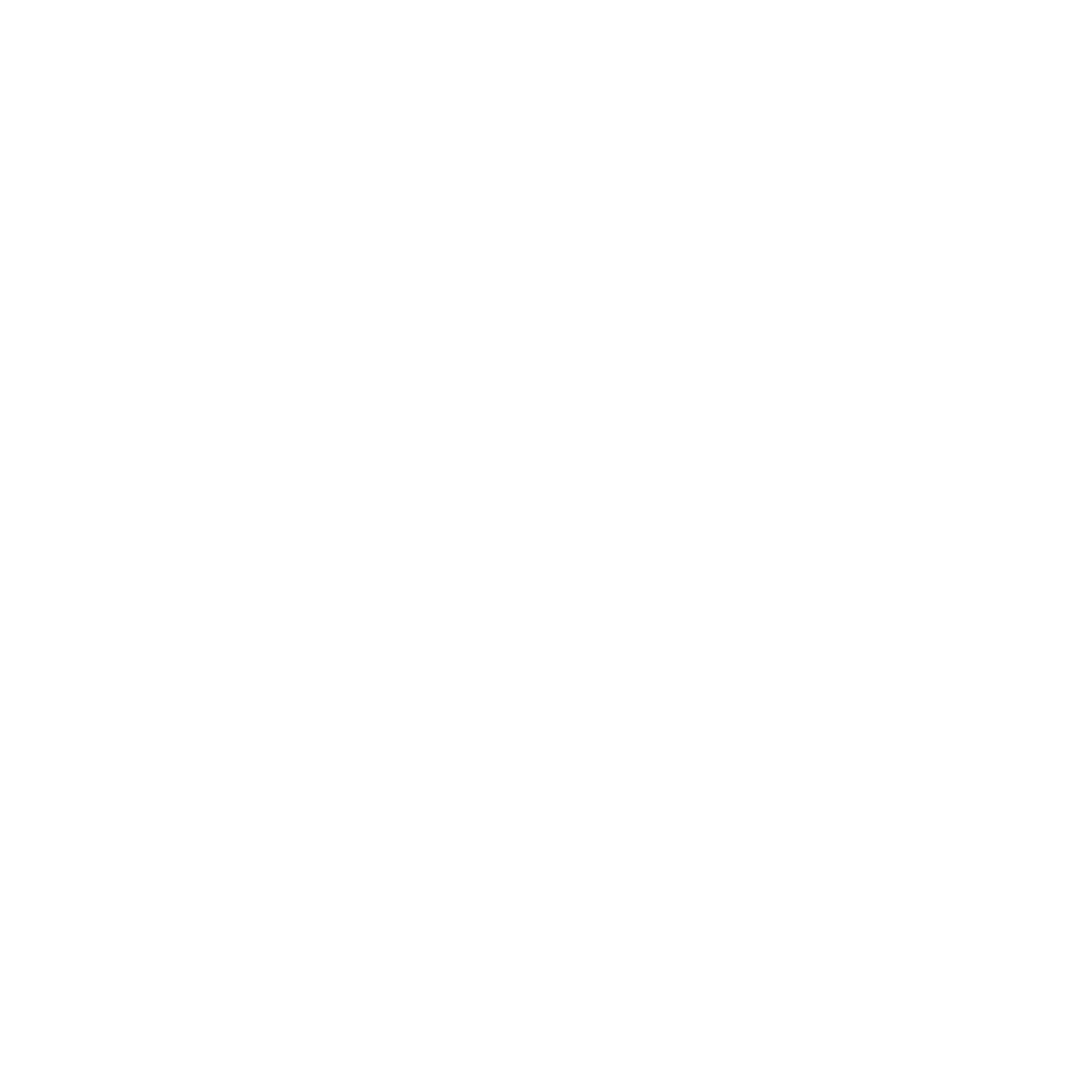 Vancouver Canucks logo in white